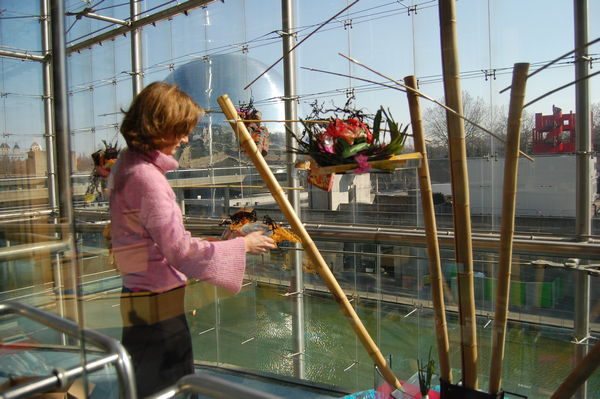 eleonora-marino-installation-01